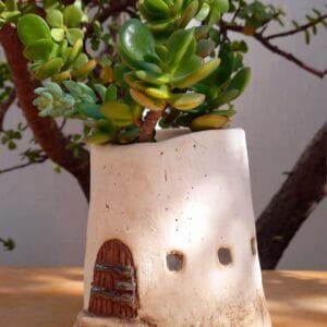 Maceta de cerámica en forma de casita (1)