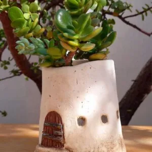 Maceta de cerámica en forma de casita (1)