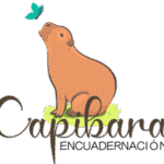 Capibara Encuadernacion