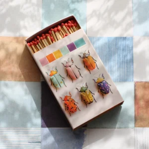 Cajas de fósforos 6 escarabajos